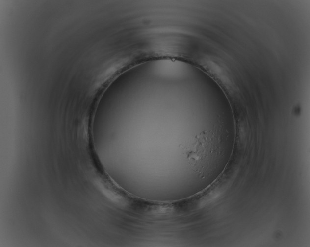 X0000093520398200710191336