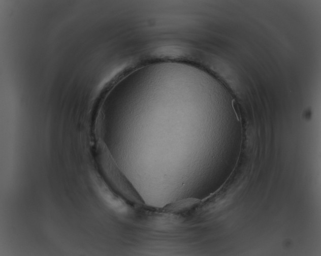 X0000093520399200710191336