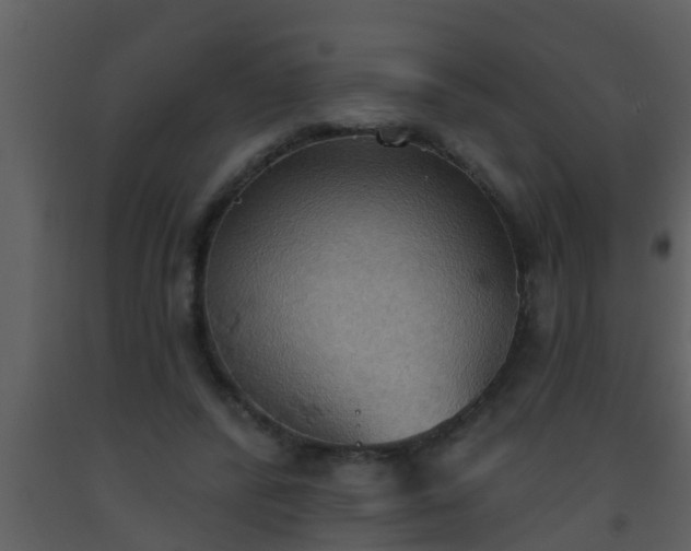 X0000093520400200710191336