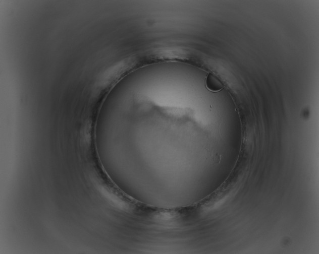 X0000093520402200710191336