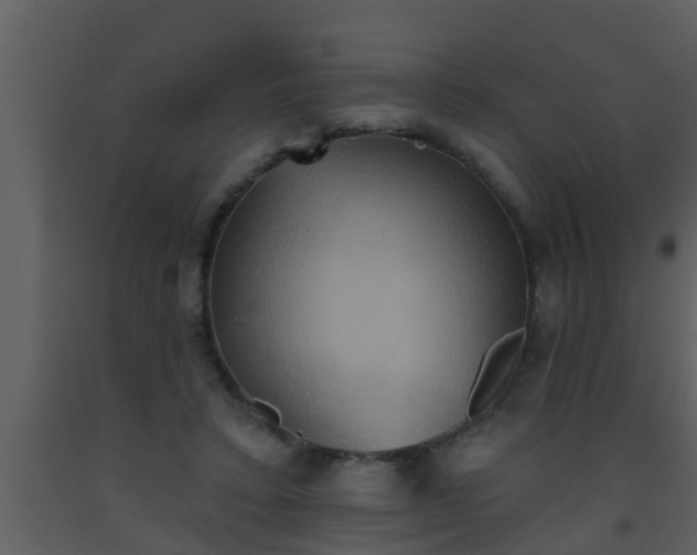 X0000093520403200710191336