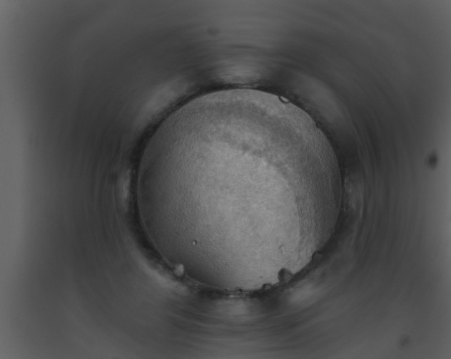 X0000093520404200710191336