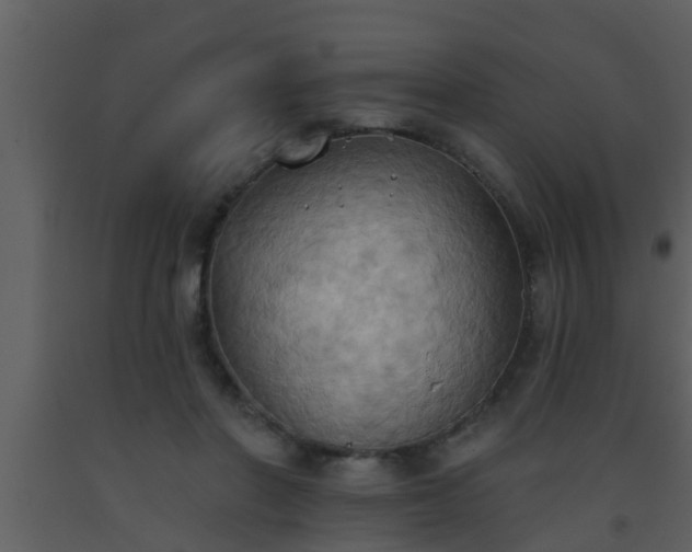 X0000093520406200710191336