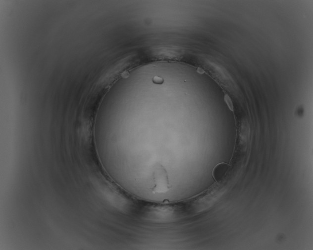 X0000093520409200710191336