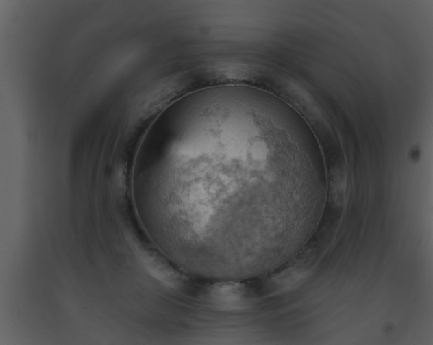 X0000093520410200710191336