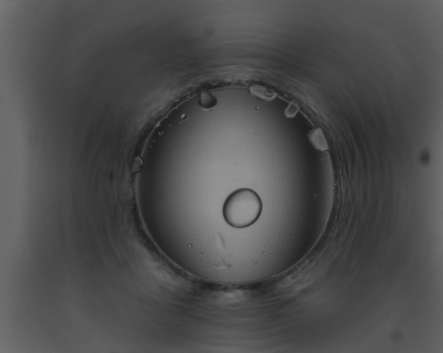 X0000093520411200710191336