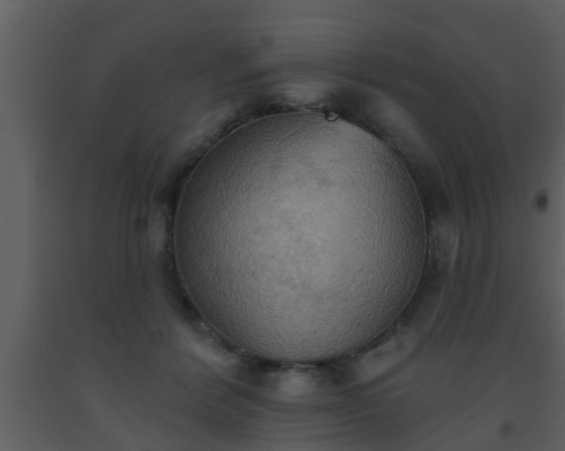 X0000093520412200710191336