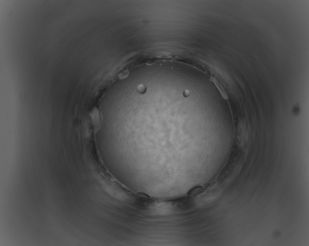 X0000093520413200710191336