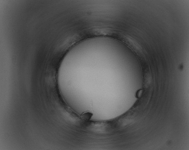 X0000093520414200710191336