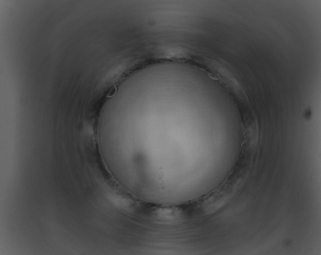 X0000093520415200710191336