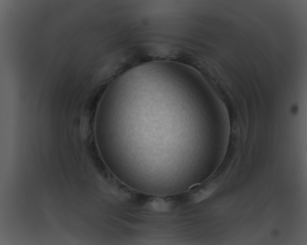 X0000093520416200710191336