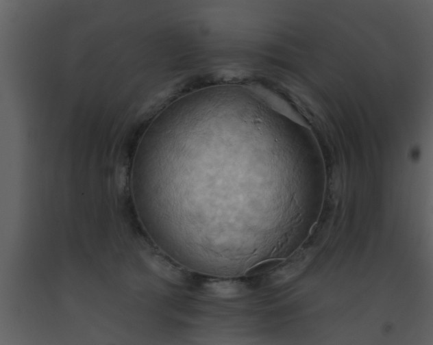 X0000093520417200710191336