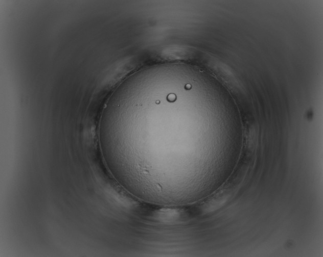 X0000093520418200710191336