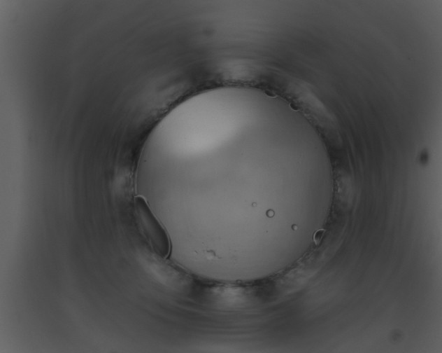 X0000093520419200710191336