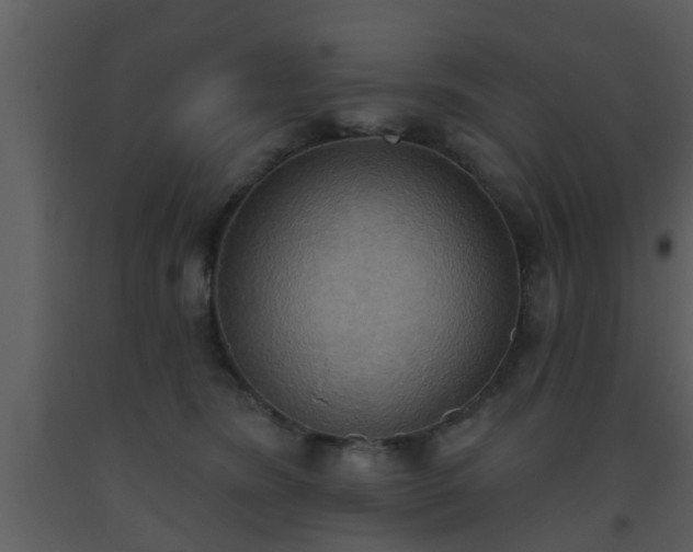 X0000093520420200710191336