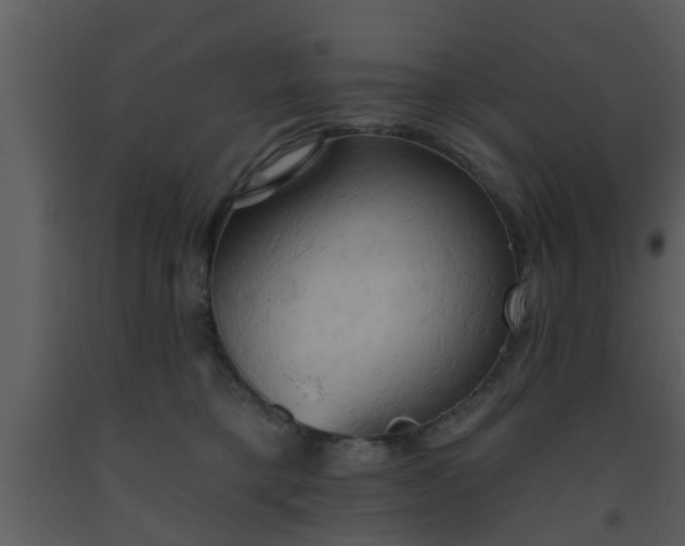 X0000093520421200710191336