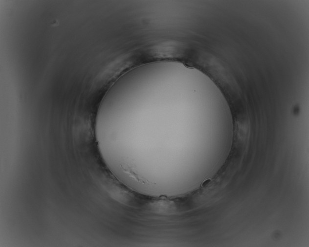 X0000093520422200710191336