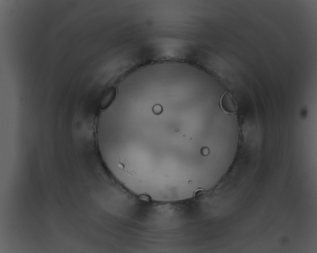 X0000093520423200710191336