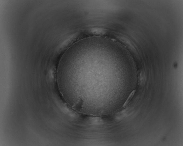 X0000093520424200710191336