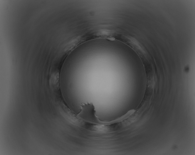 X0000093520425200710191336