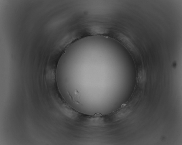 X0000093520426200710191336