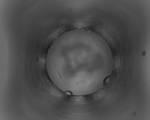 X0000093520427200710191336