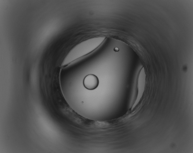 X0000093520429200710191336