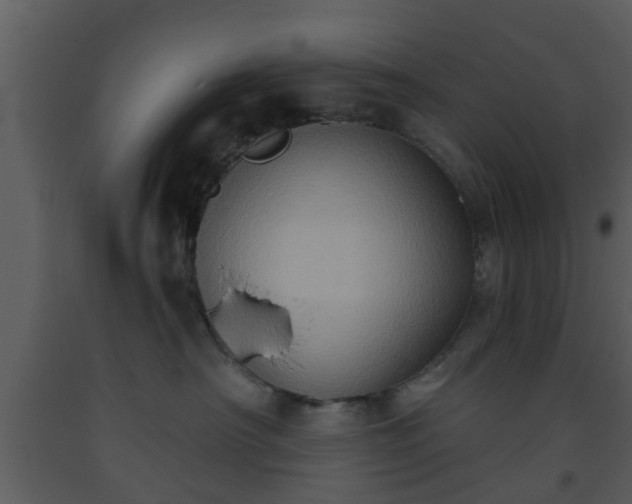 X0000093520430200710191336