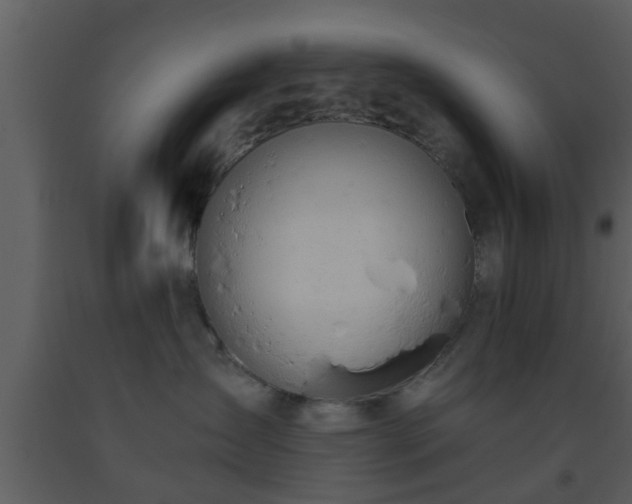 X0000093520431200710191336