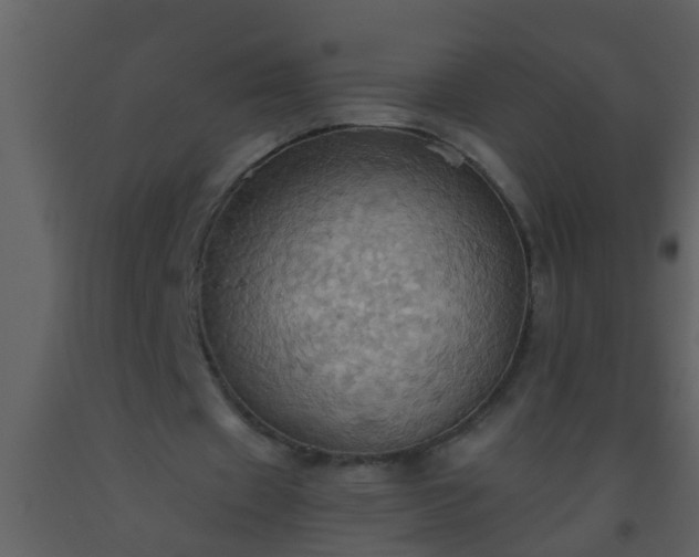 X0000093520433200710191335