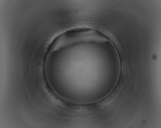 X0000093520434200710191335