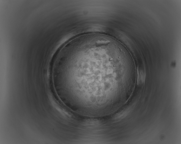 X0000093520435200710191335