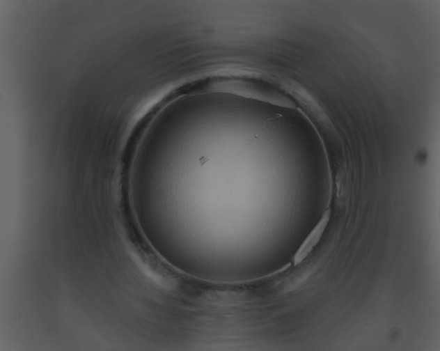 X0000093520436200710191335