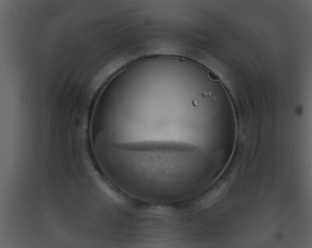 X0000093520437200710191335