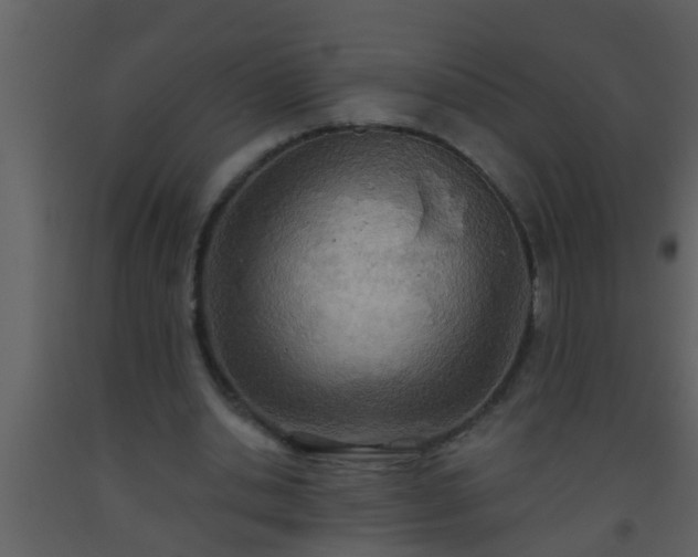 X0000093520438200710191335