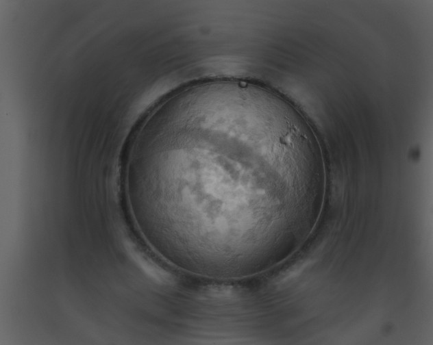 X0000093520439200710191335