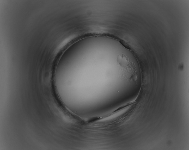 X0000093520440200710191335