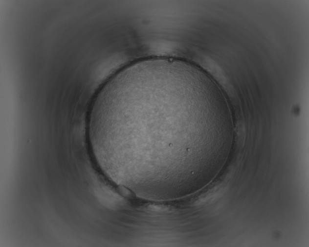 X0000093520442200710191335