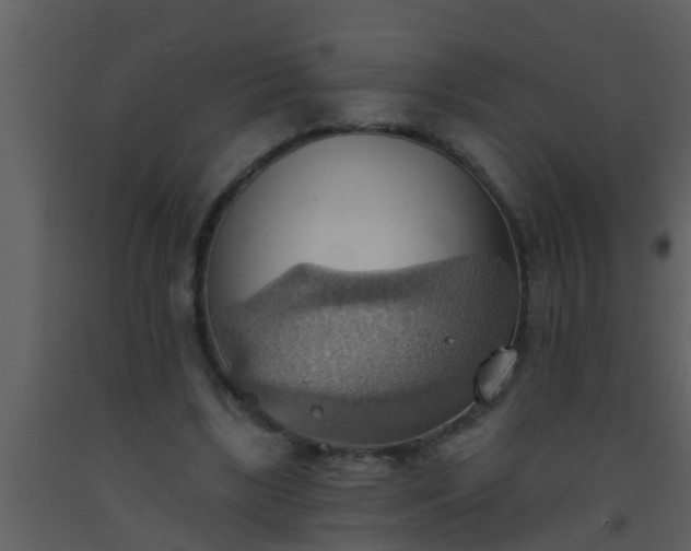 X0000093520443200710191335