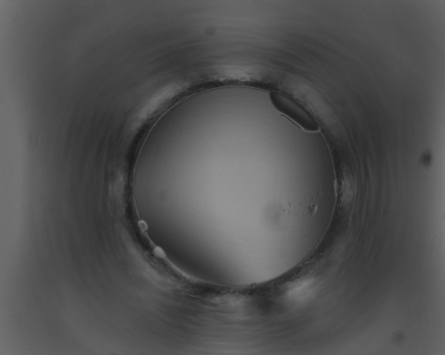 X0000093520444200710191335