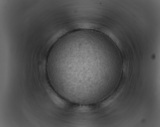 X0000093520445200710191335