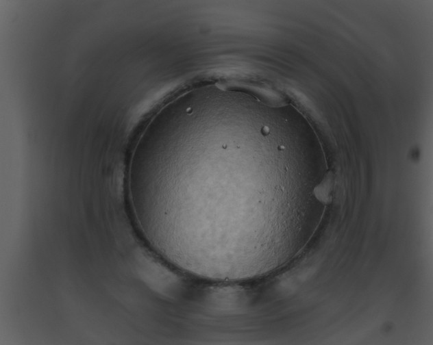 X0000093520446200710191335