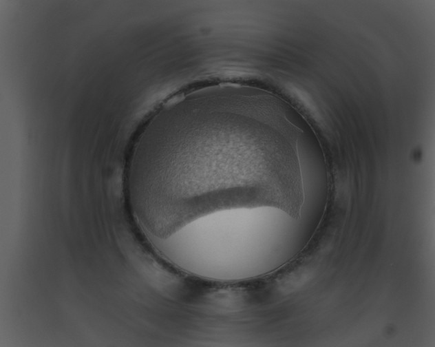 X0000093520447200710191335