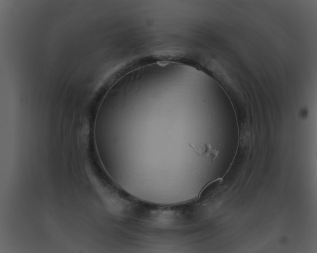 X0000093520448200710191335