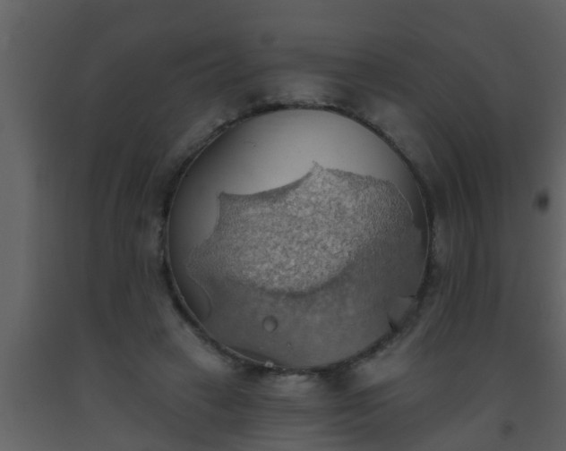 X0000093520449200710191335