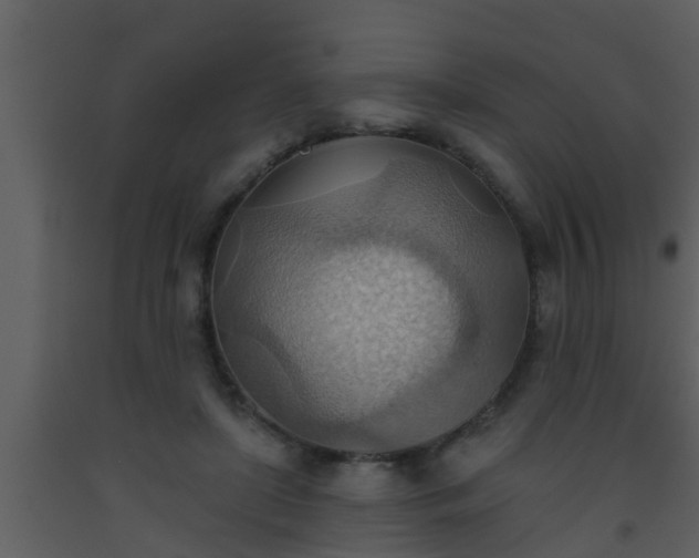 X0000093520451200710191335