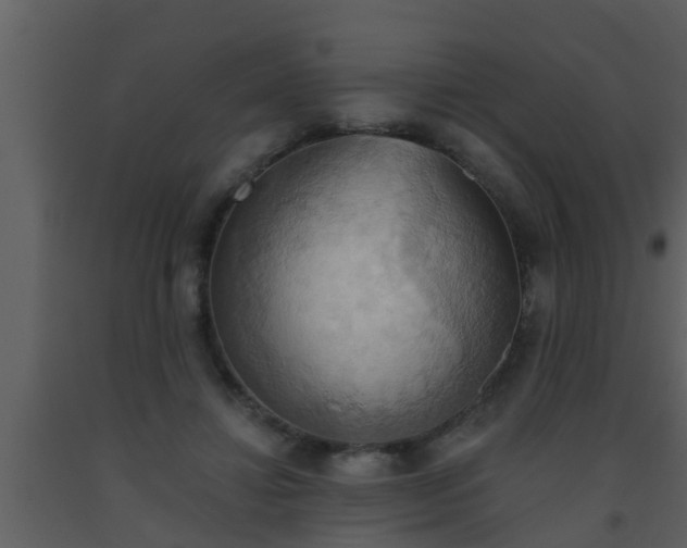 X0000093520452200710191335