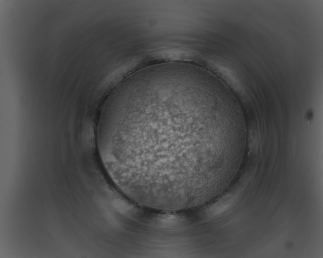 X0000093520453200710191335