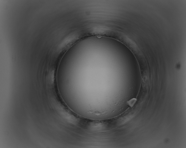 X0000093520454200710191335