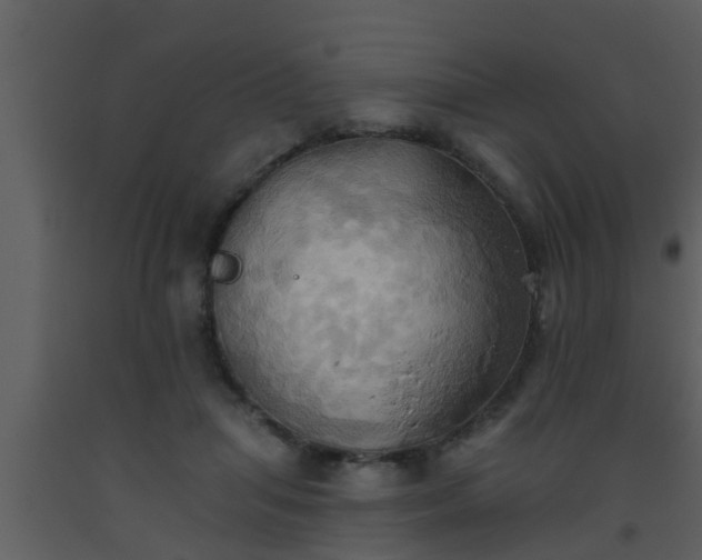 X0000093520455200710191335